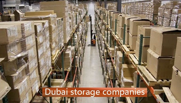 Warehouse storage facilities Dubai - tonyless - Medium