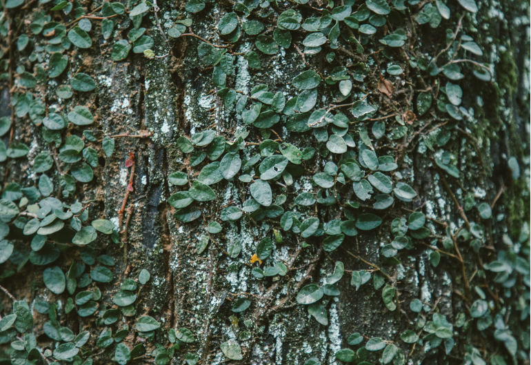 Hostile Takeover Series — Creeping Takeover by Ashish Kulkarni Medium