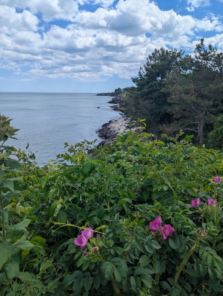 View from Newport’s Cliff Walk