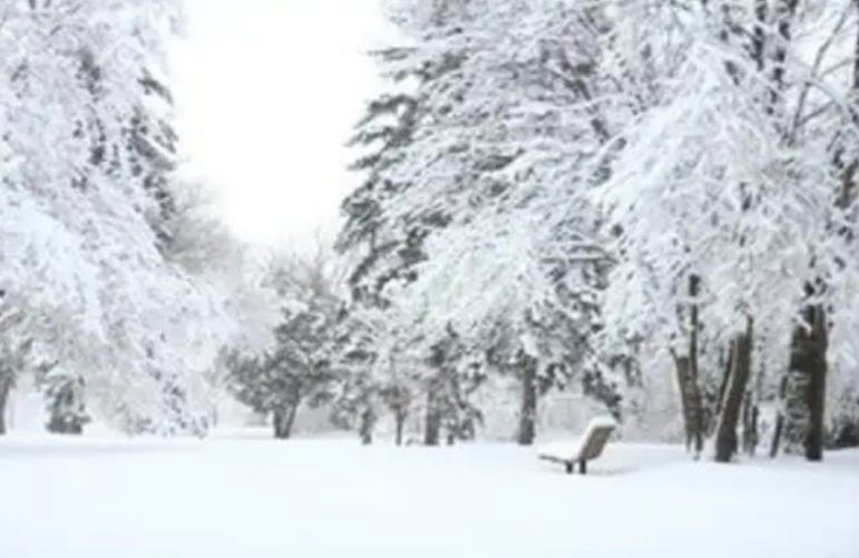  If Winter Comes Can Spring Be Far Behind Is The Last Line Of The 