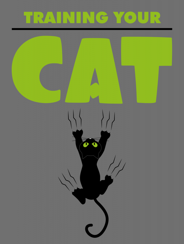 Teaching Your Cat to Beg, Sit, and Stay A guide to Training Your Cat