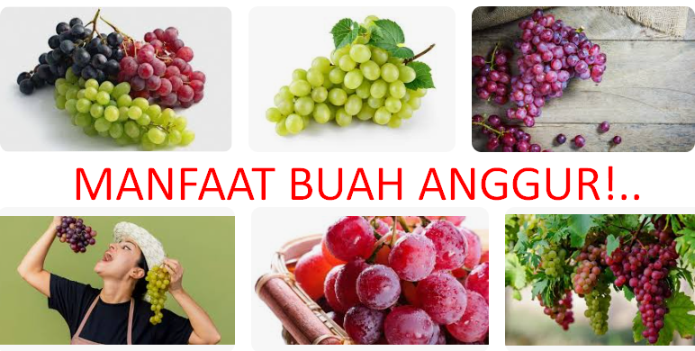 Manfaat Buah Anggur untuk Kesehatan Kita