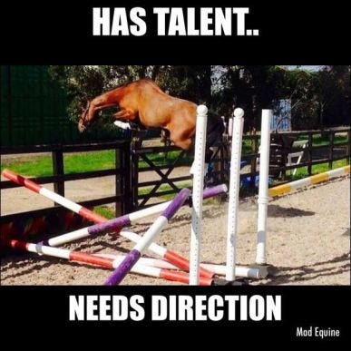 20 Hilarious Horse Memes. I don't know about you, but one of my… | by Anna  Mininger | Medium