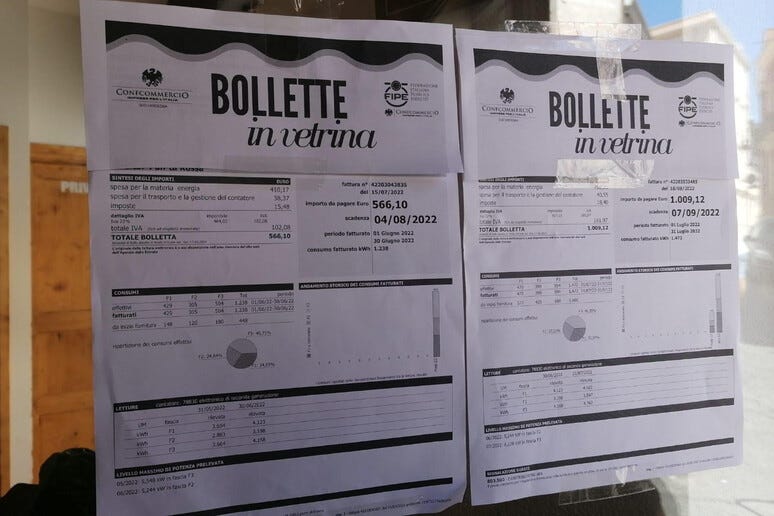 Vendita Bufaletto Di Bufala All'ingrosso - Real Formaggi - Foto 9