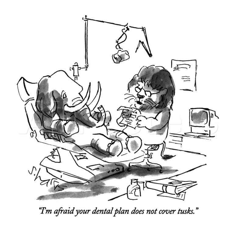 What It’s Like To See A Dentist With No Insurance by Ester Bloom