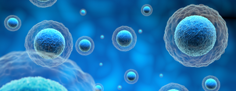 Single-Cell RNA Sequencing Data Analysis