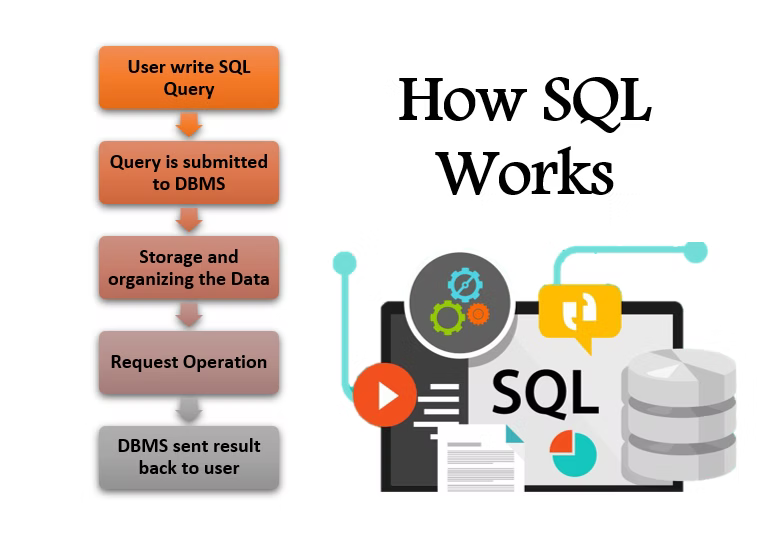 SQL Basics: Building Blocks for Database Management | by Saisharathp ...