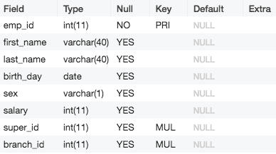 Databases: SQL & MySQL for Beginners (step-by-step guide) | by Faraz Hanif  | Medium
