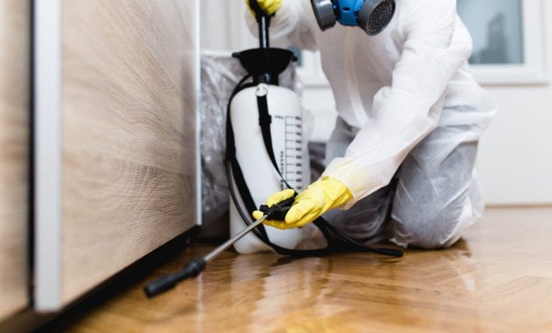 10 Pest Control Tips To Help You Live A Pest-Free Life | by cleaning  andmaintenance | Medium