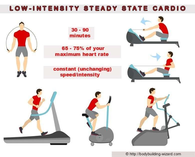 Low-Intensity Cardio Training: What Is It & How Does It Work? – SWEAT