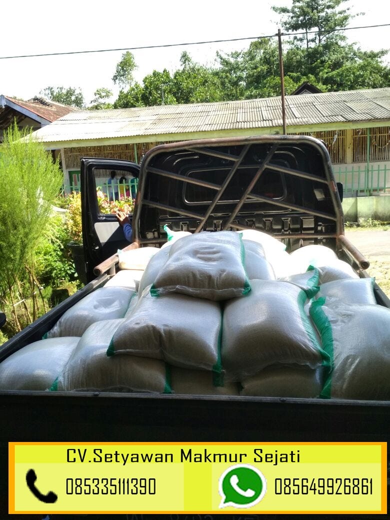 WA 085649926861 distributor beras, distributor beras surabaya, | by