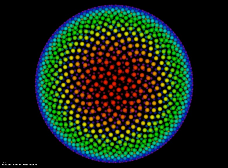 Fibonacci Numbers. Brief History of Fibonacci numbers and… | by Haiylu ...