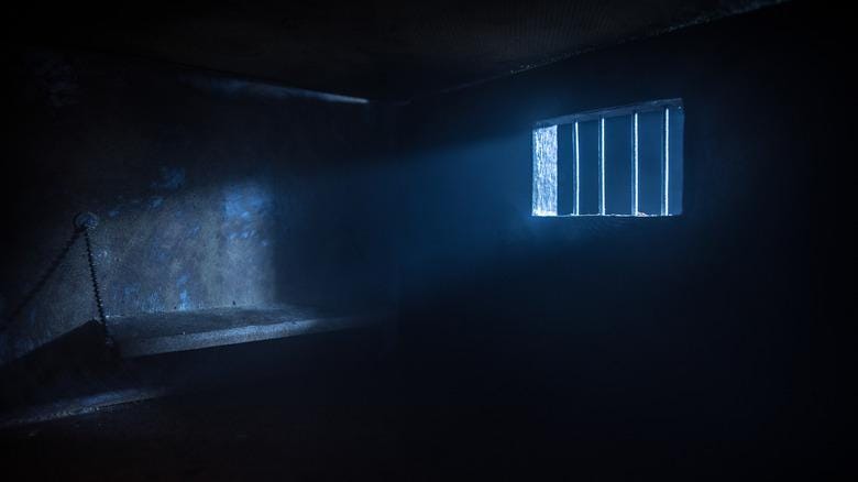 BETRAYAL FOR LOYALTY | Chapter 7: The Silent Witness of the Cell
