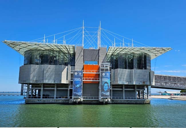 Travel Lisbon Oceanarium