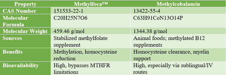 Methylfoca™ VS Methylcobalamin: Which Methyl Donor Better Supports Brain Health?