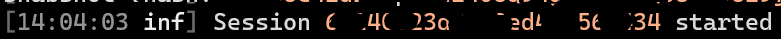 Server output, that’s some session was starter.
