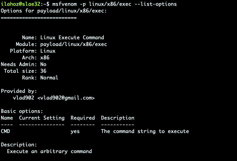 SLAE: Assignment #5.3. Shellcode Analysis: exec | by Nacho Lahoz | Medium