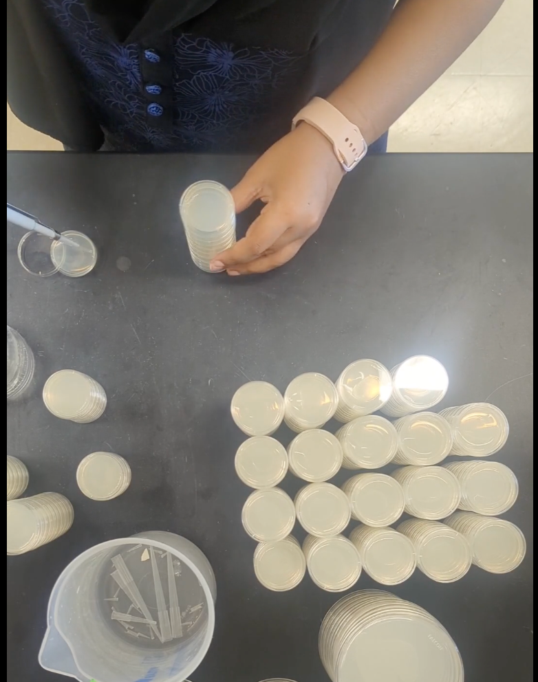 Letting my hands do their thing