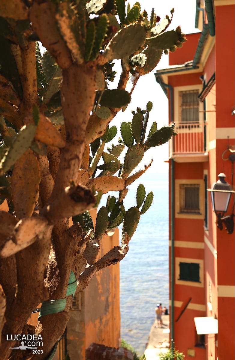 Uno scorcio sul mare di Boccadasse a Genova