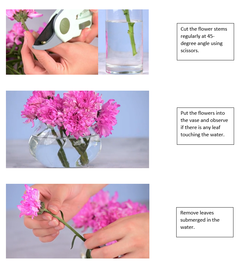 Montessori Lesson Plan Arranging Flowers by Kindergarden Medium