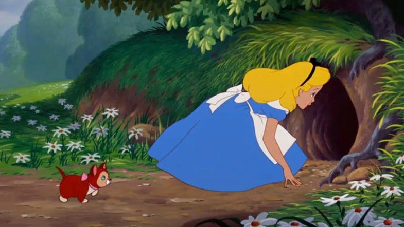 Alice In Wonderland Down The Rabbit Hole