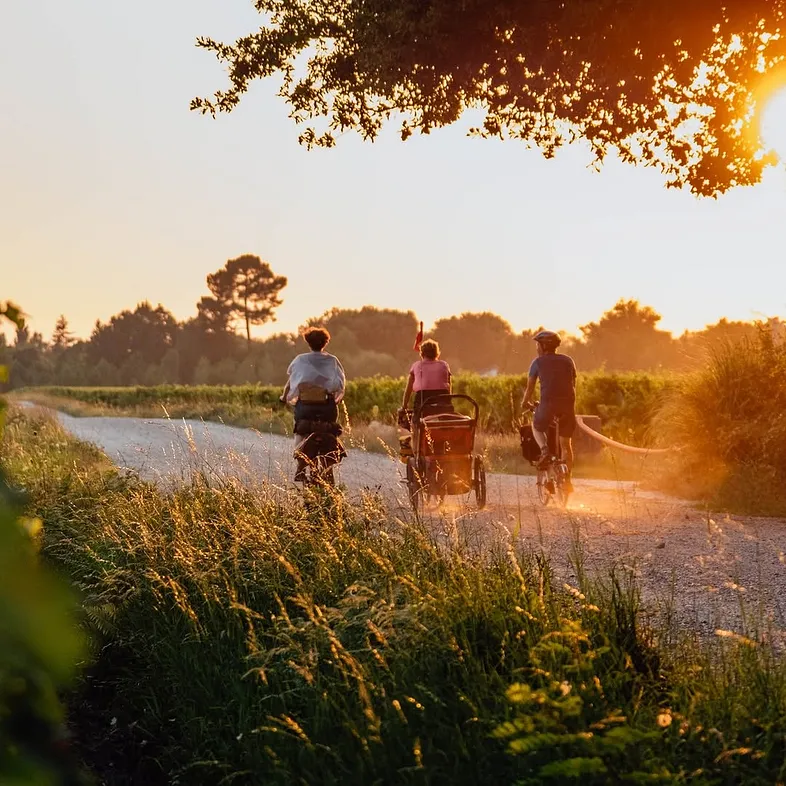 Saint emilion ebike tour