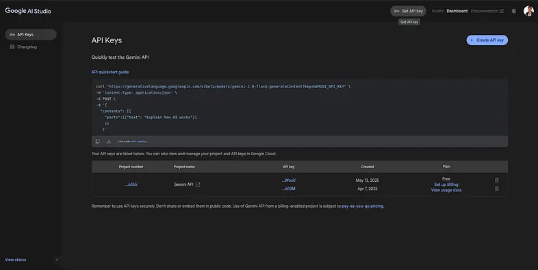 Google AI Studio Dashboard
