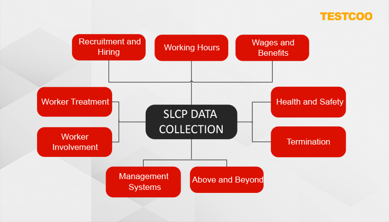 SLCP- The Social and Labor Convergence Program | by Testcoo Inspection ...