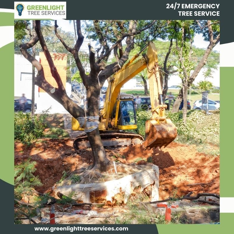 Tree Companies near me — Huntington Station, New York by Green Light