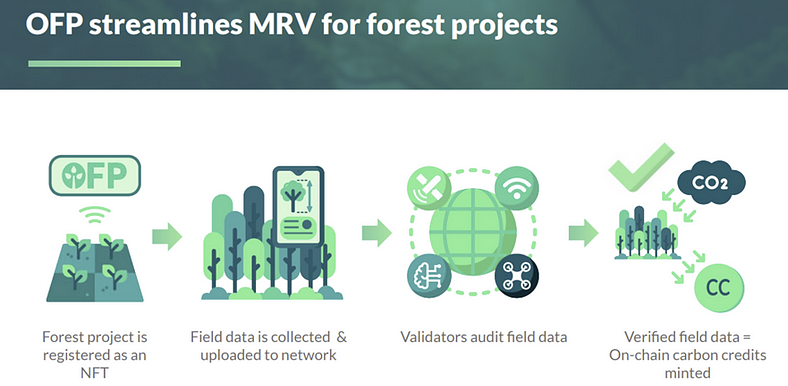 Open Forest Protocol의 작동방식