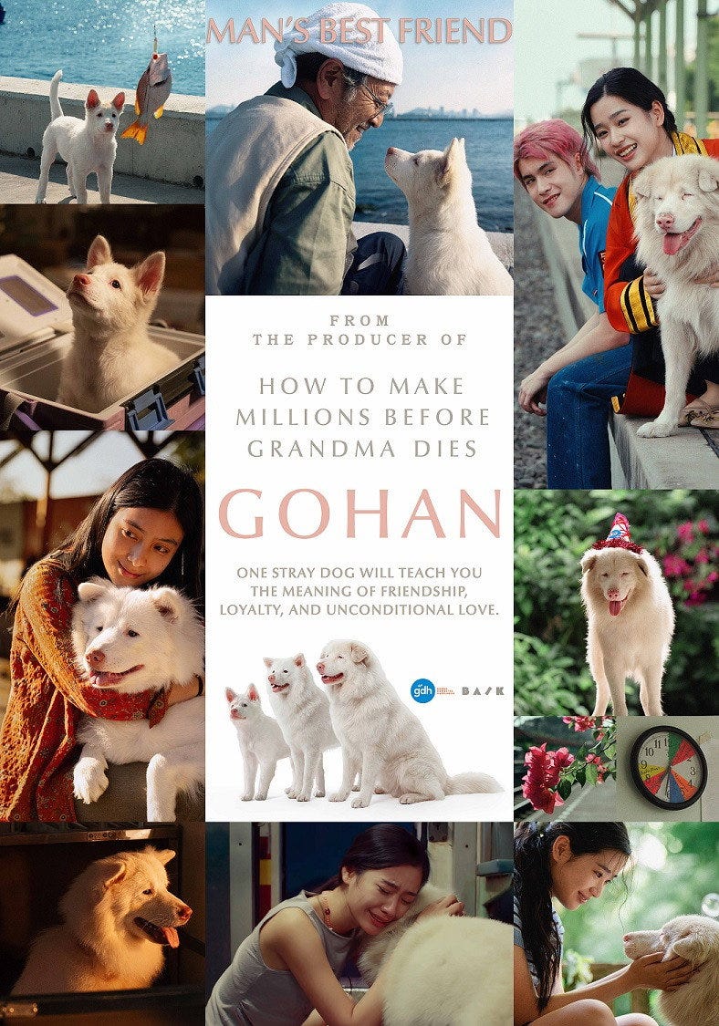Gohan (2026): Until the snow falls in Thailand, I will never leave you