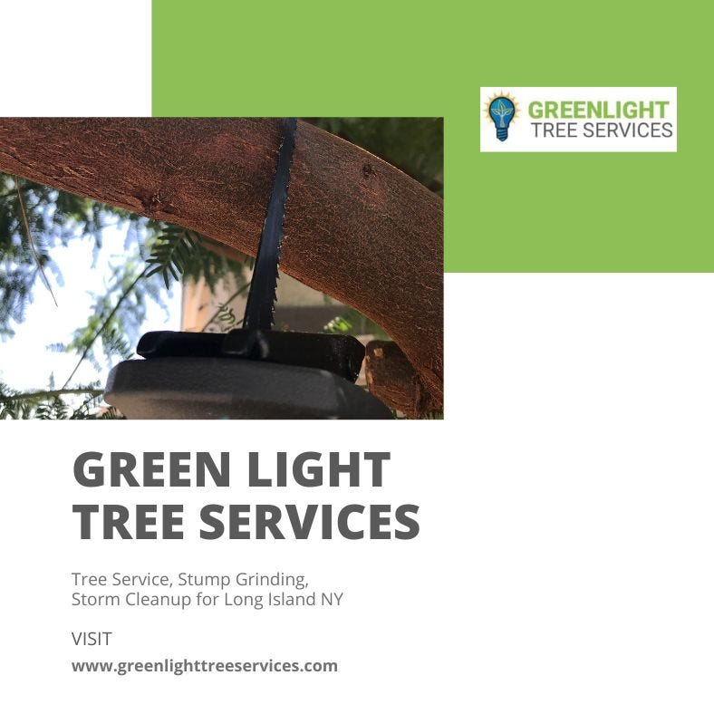 Tree Removal Companies — Huntington Station, NY by Green Light Tree