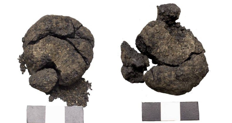 8600-Year-Old World's Oldest Bread Found in Excavation Work in Çatalhöyük! | by Emre Turan | Mar, 2024 | Medium