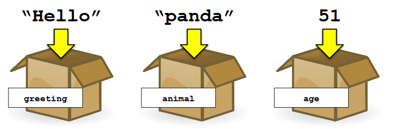 Variables. Variables are one of the most important… | by Matthew Clark ...