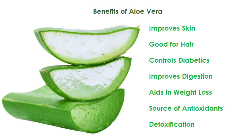 Health Benefits and Risk of Drinking Aloe Vera Juice | by SarvLiving |  Medium