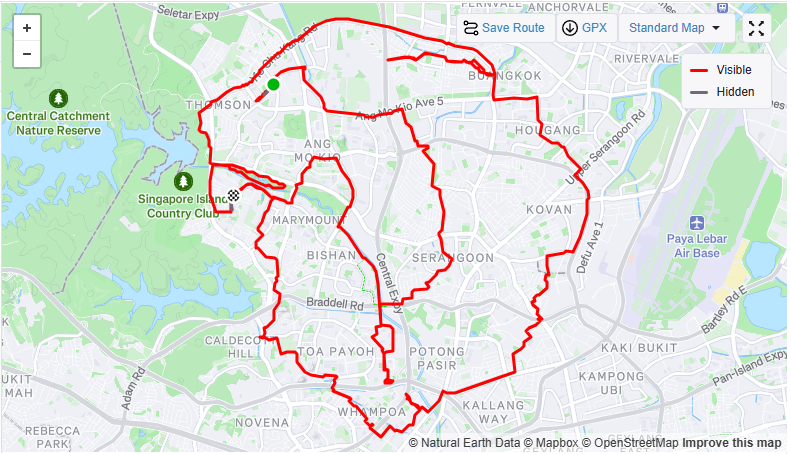 60km, One Merlion, and the Beautiful Madness of Running Together