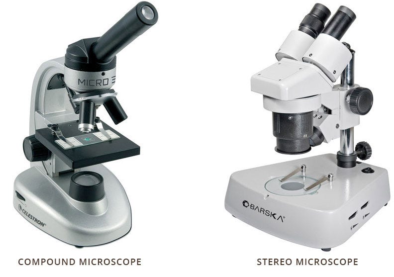 Six Difference Between Compound Microscope And Astronomical Telescope at Charlotte Hillman blog