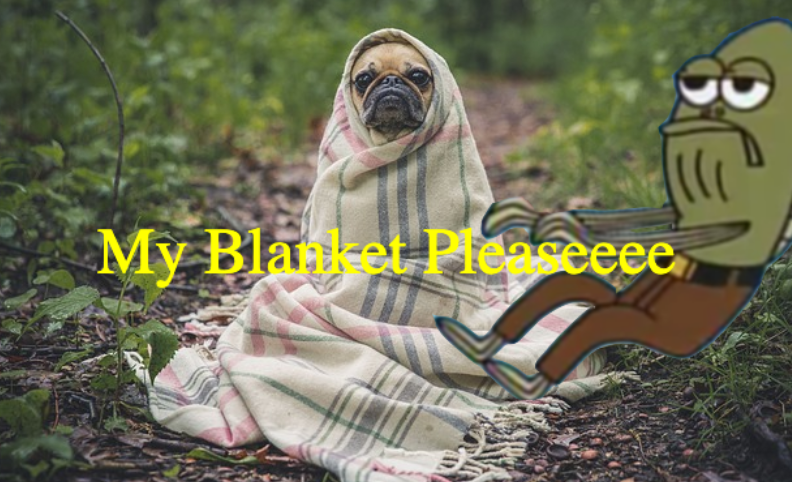 Teaching Teens How to Make a Meme in JavaScript How To | by Maryam ...