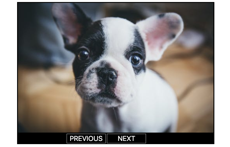 How To Build an Image Slider From Scratch in HTML/CSS/JS by Ryan