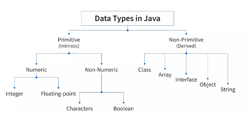 Data Types in Java – Primitive and Non-Primitive Data Types