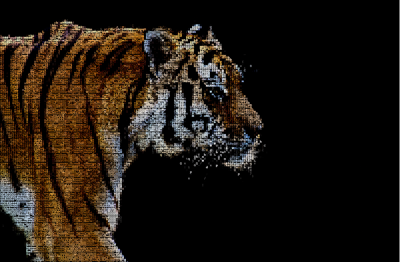 Build an image to ASCII art converter using Haskell | by Andrei Lozhkin ...