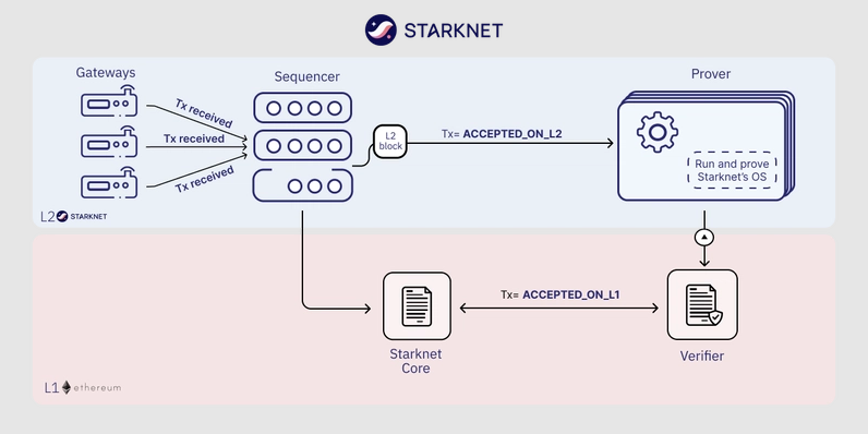 Preview image for Something about MEV in StarkNet