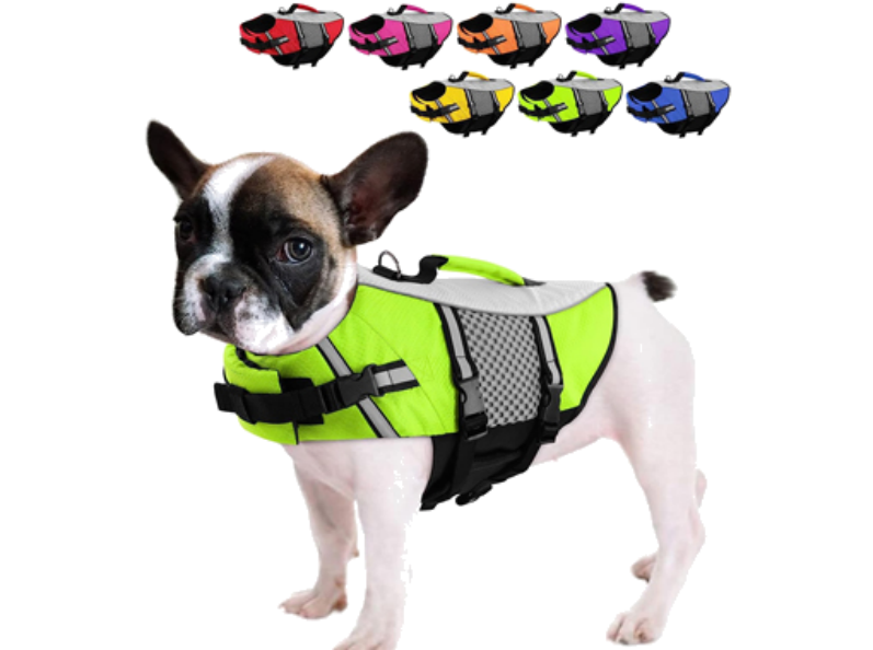Your Trusted Custom Neoprene Dog Life Jacket Products Manufacturer by