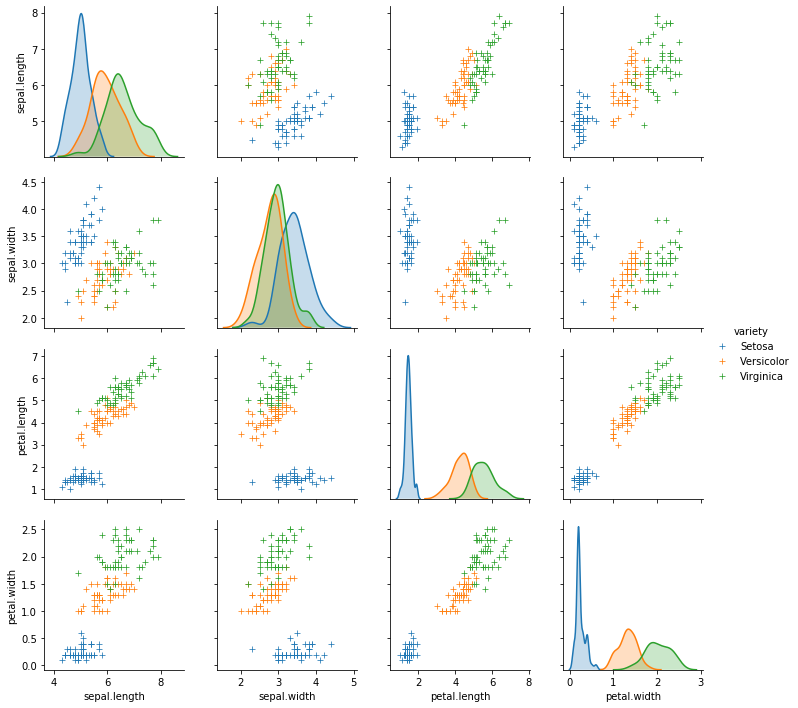 Exploratory Data Analysis on Iris Flower Dataset | by Prince Kumar | Medium