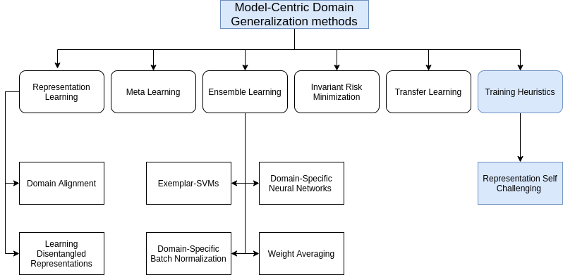 Representation Self-Challenging: An Interesting Approach Towards Robust ...