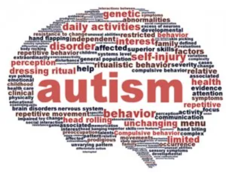 Detection of Newborns at Risk of Developing Autism Spectrum Disorder ... image.