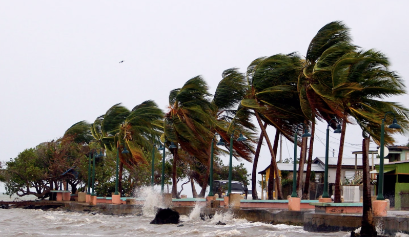 A Comprehensive Guide to Hurricane Preparedness in Florida 