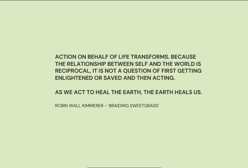 A page in Raechel Kelly’s Kith and Kin Living Lab Gift lifting up the wisdom of Robin Wall Kimmerer to reflect upon her observations of the Dudley People’s School for Climate Justice work. Link to lab portrait by Raechel.