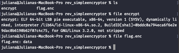 File Identification