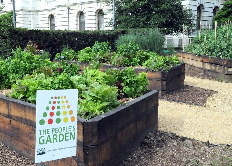 NRCS Funds Four Community Gardens in Philadelphia. Laurenbeth Medium